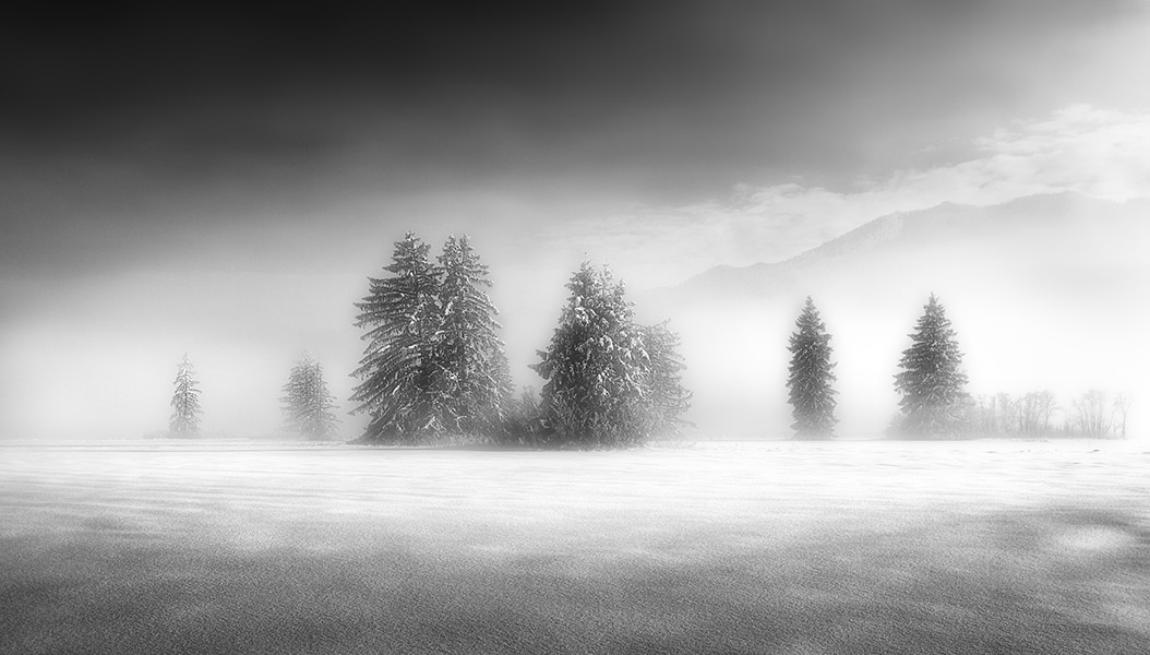 Stille im Wintermoor - Annahme